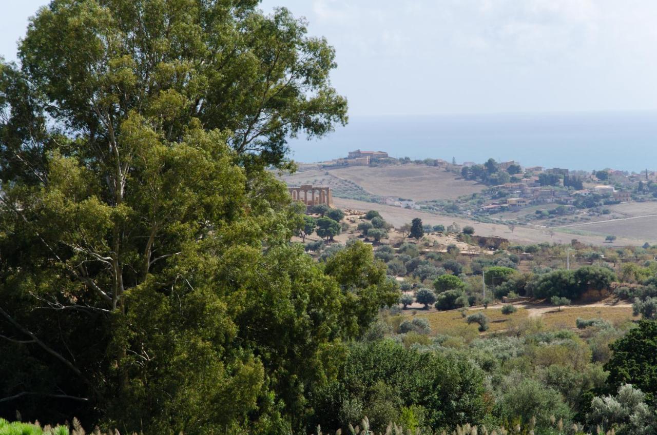 Panoramica Dei Templi B&B Agrigento Dış mekan fotoğraf